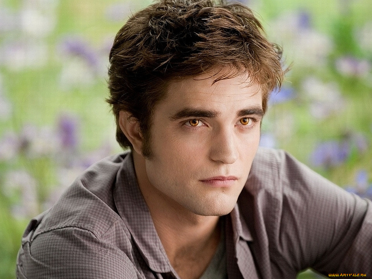 , , the, twilight, saga, eclipse